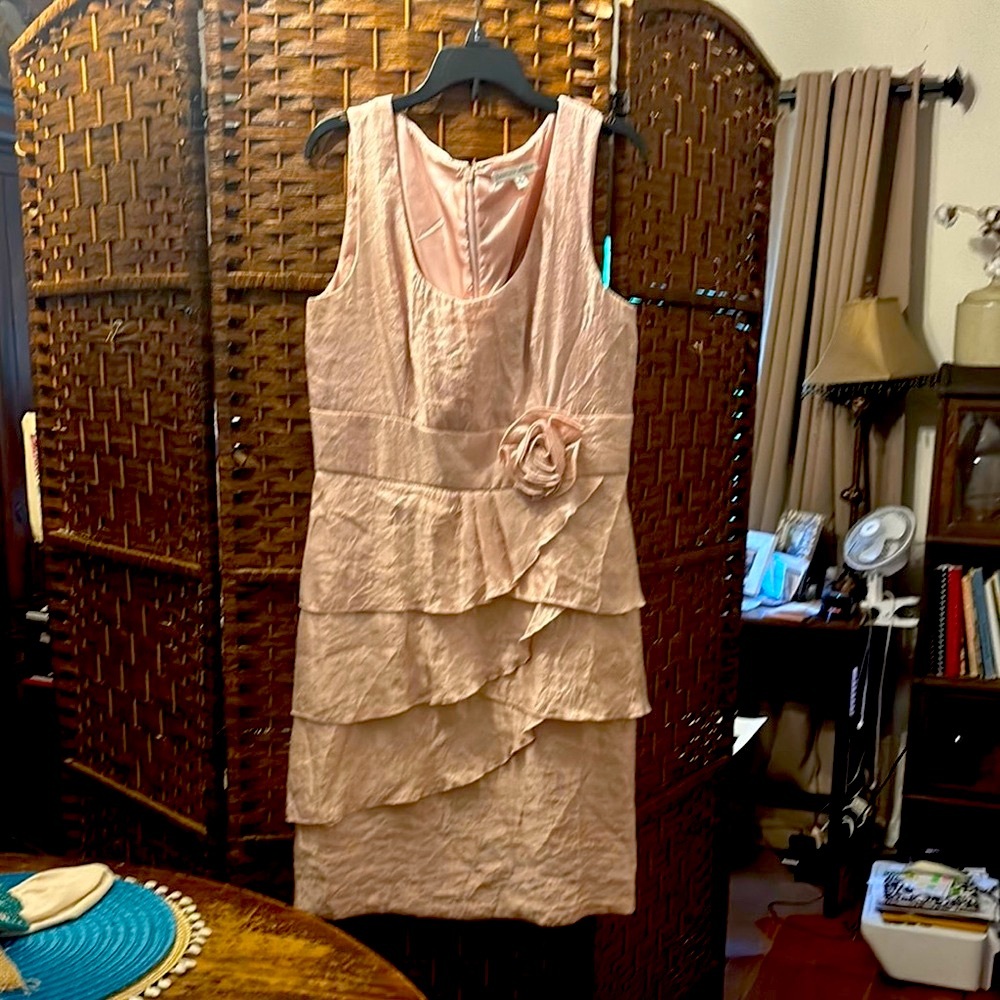 Sandra Darren Pink Asymmetrical Layered Dress